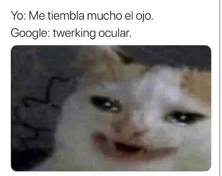 Meme de gato que sufre con las enfermedades de google 