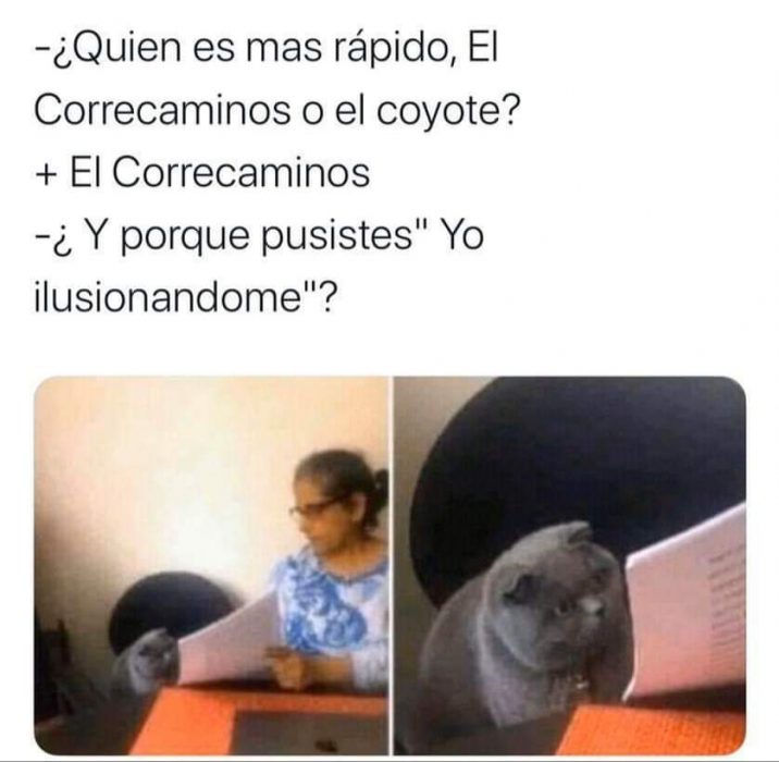 meme del gato que está siendo regañado 