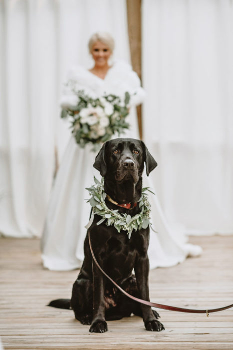 Novia parada atrás de su perro esperando para que él voltee y la vea 