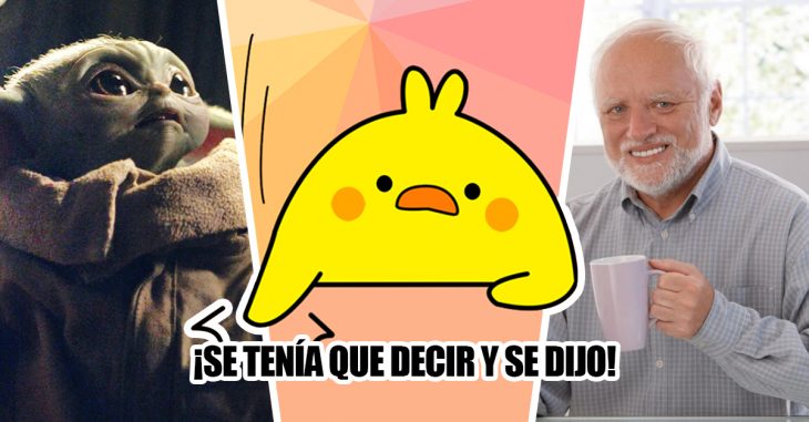 Estos son los mejores y más divertidos memes del 2019