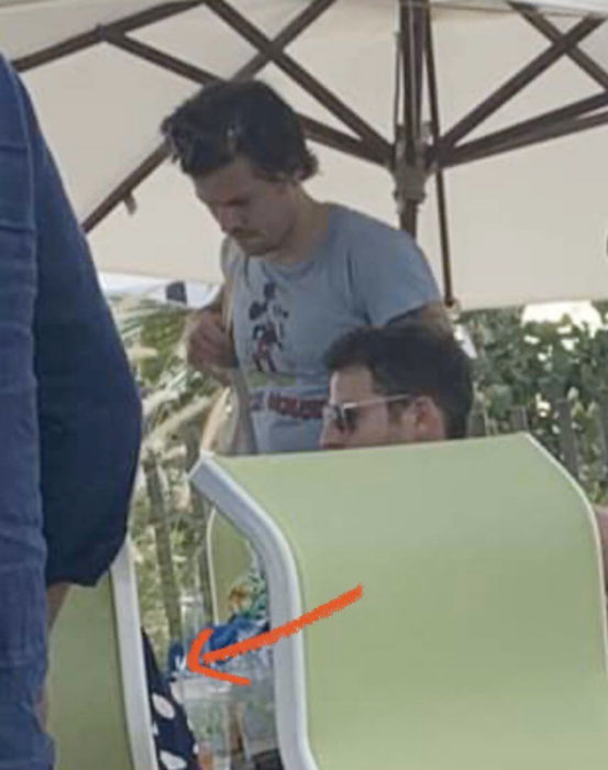 Adele y Harry Styles de vacaciones juntos en la playa