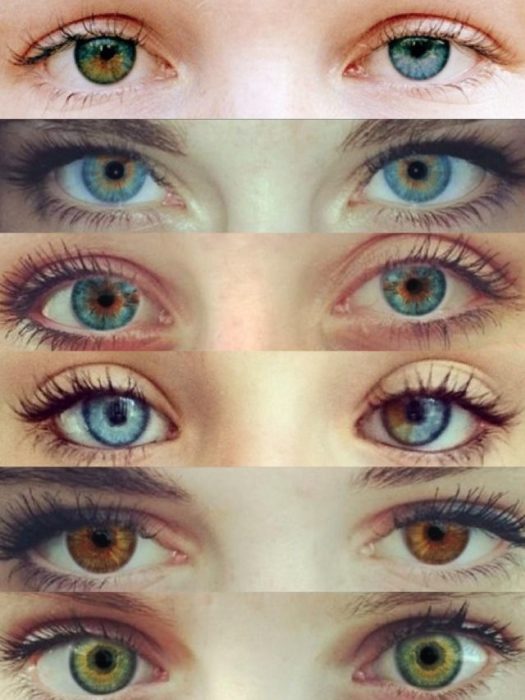 Ojos de diferentes colores