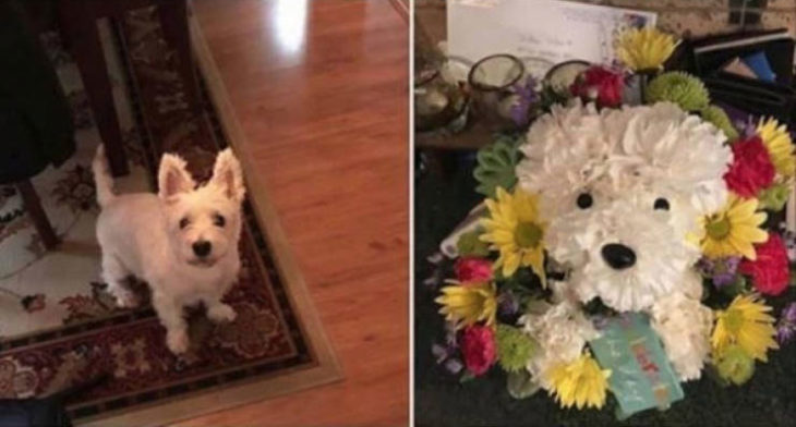 Foto de perrito y arreglo de flores en forma de perrito