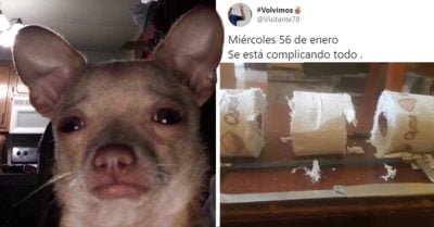 15 Memes que demuestran que enero dura más que todo el año completo