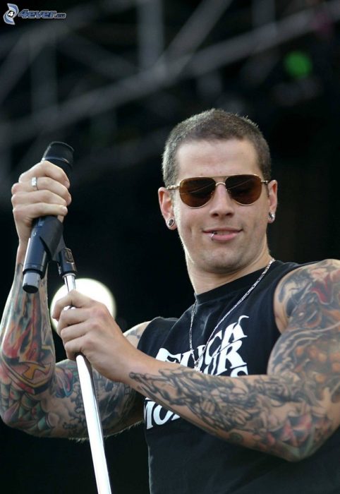 M. Shadows de Avenged Sevenflod en un concierto