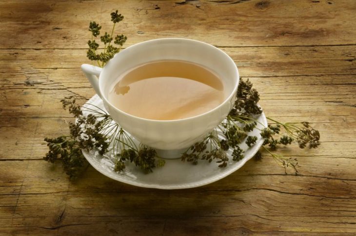 Infusión de boldo en taza de porcelana sobre mesa de madera y flores de boldo secas