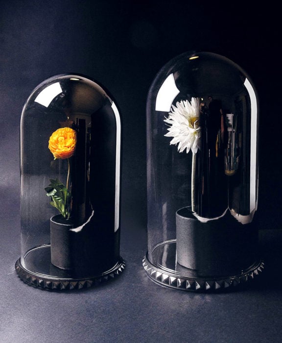 Decoración negra para tu casa; flores dentro de recipiente de cristal al estilo La bella y la bestia