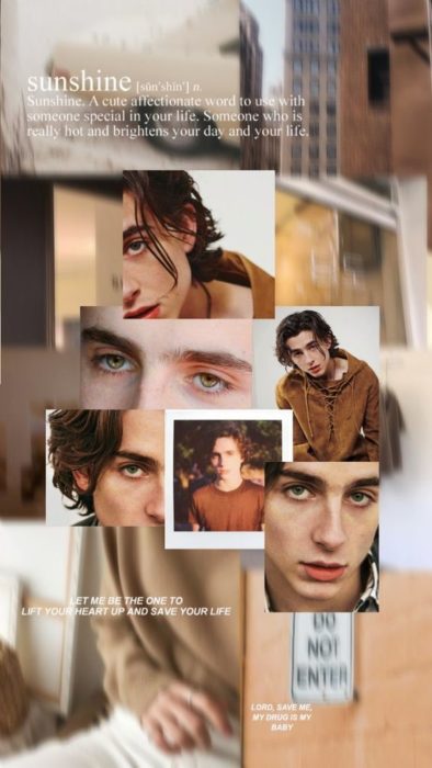 Fondo de pantalla para celular con Timothée Chalamet 