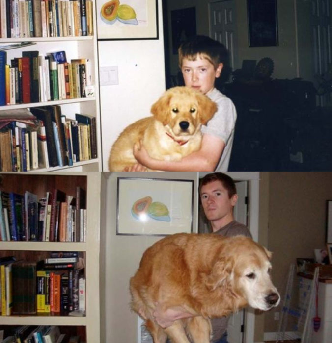 Antes y después de humanos con sus mascotas; niño y perro