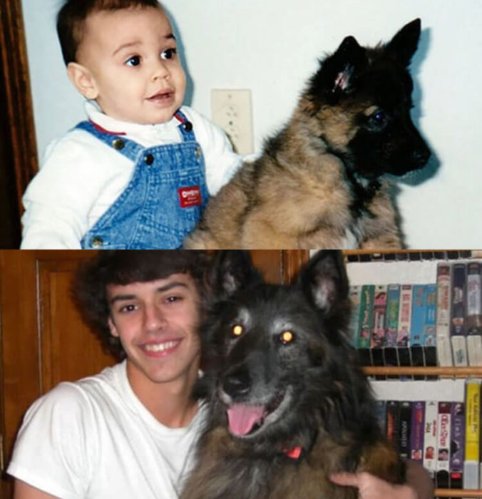 Antes y después de humanos con sus mascotas; niño y perro pastor alemán