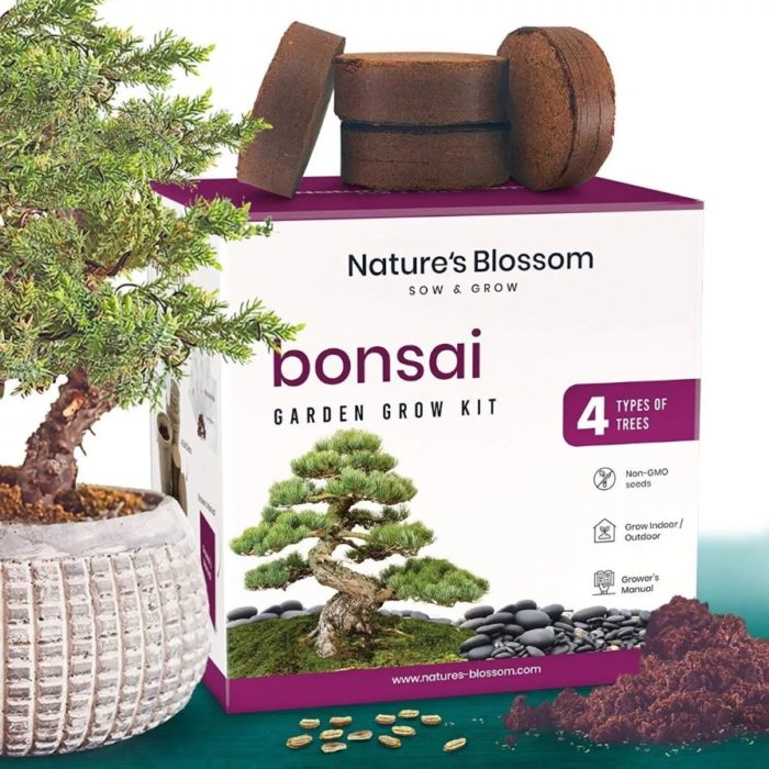 Kit para cualtivar 4 tipos de bonsai diferentes