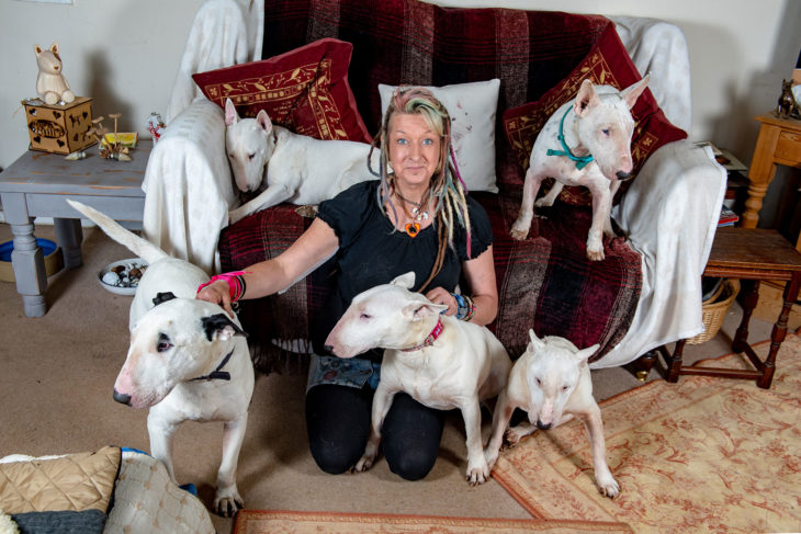 Liz en su sala con sus perritos bulldog