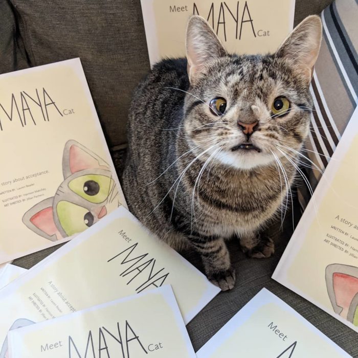 Maya y su libro Meet Maya Cat