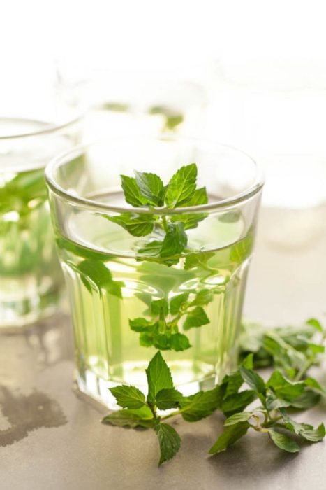 Té de menta en vaso de cristal con hojas de menta al rededor