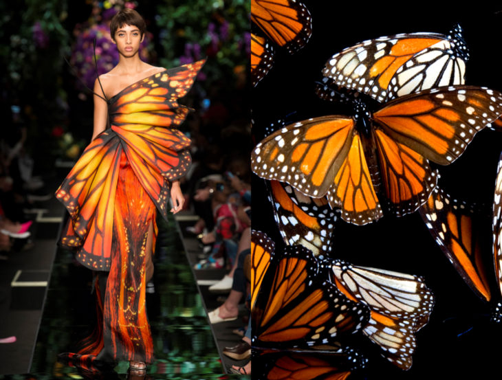 Vestidos inspirados en la naturaleza; vestido de mariposa monarca