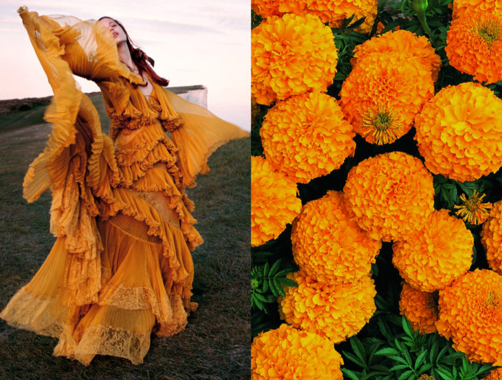 Vestidos inspirados en la naturaleza; flor de cempasúchil, mujer con vestido anaranjado bailando en el campo