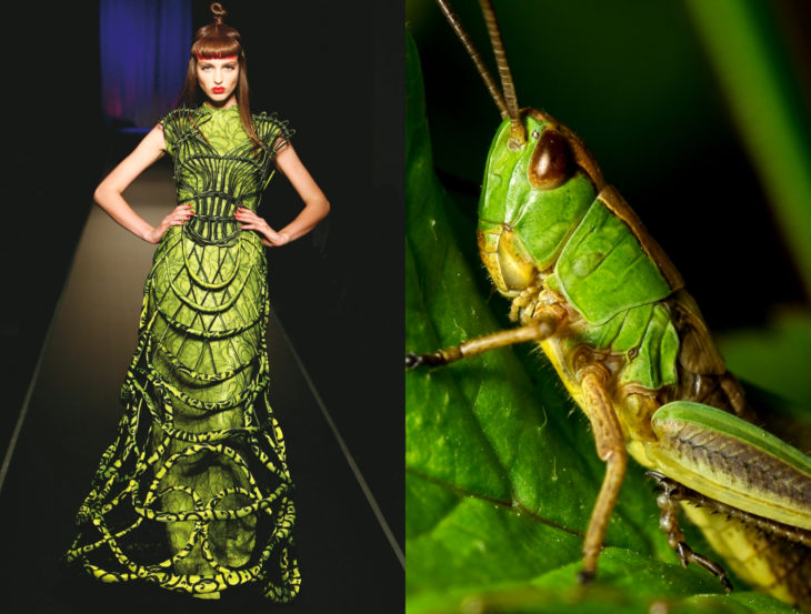 Vestidos inspirados en la naturaleza; saltamones, vestido verde