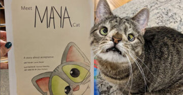 Gatita con síndrome de Down tiene su propio libro y es adorable