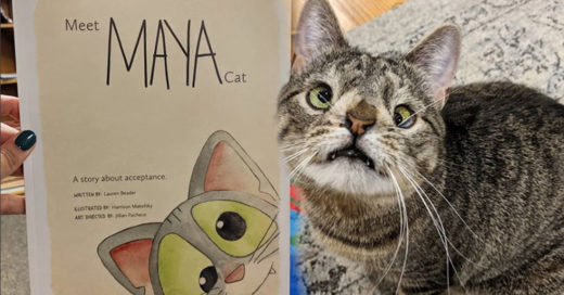 Maya, la gatita con Síndrome de Down tiene su propio libro