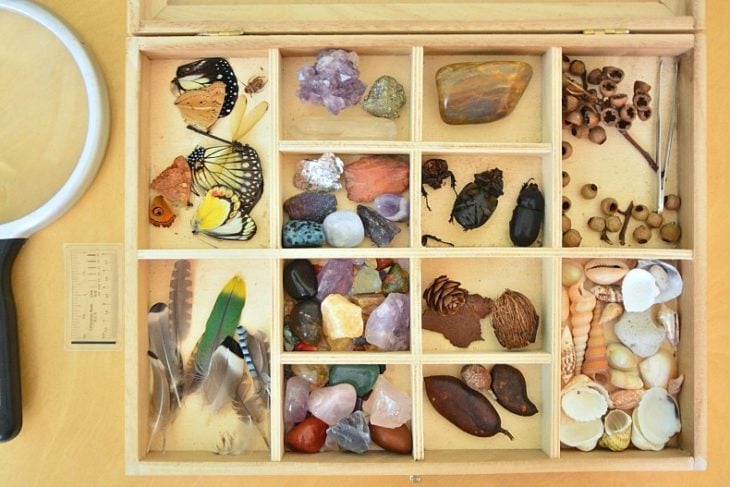 Caja de clasificación, juguete educativo Montessori