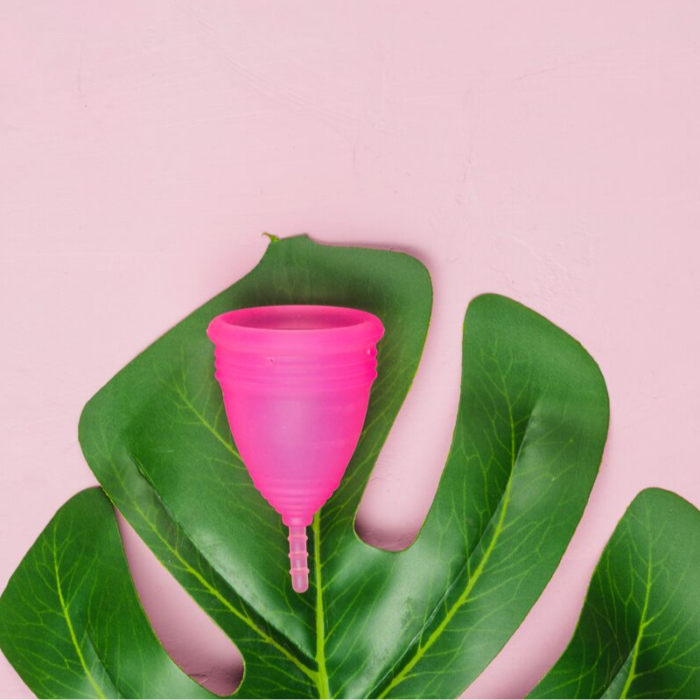 Copa menstrual color rosa sobre hoja de planta