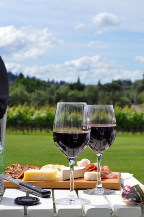 Copas de vino junto con tabla de quesos y de fondo un paisaje a campo abierto