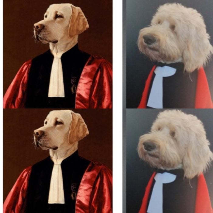 Replica de The Advocate, de Thierry Poncelet  con un perrito