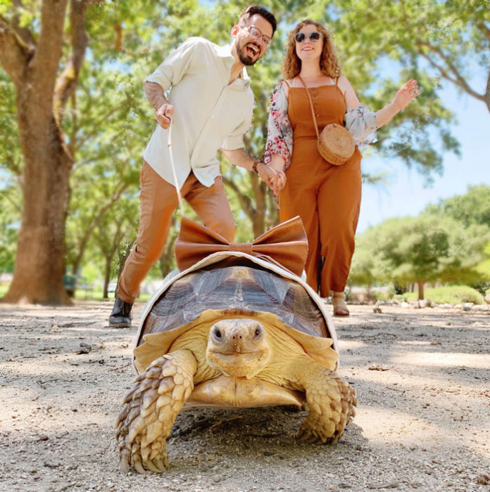 Pareja junto a su tortuga dando un paseo por el parque mientras visten de manera similar 