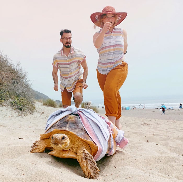 Pareja junto a su tortuga dando un paseo por la playa mientras visten de manera similar 