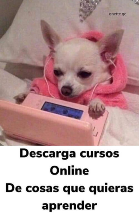 Memes de perritos explicando qué hacer en la cuarentena; perro con nintendo y audífonos