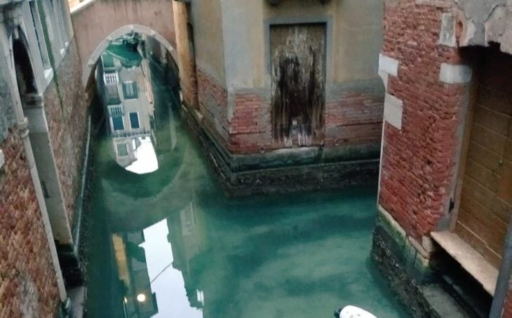 Canales de venecia descontaminados por la ausencia de turistas 