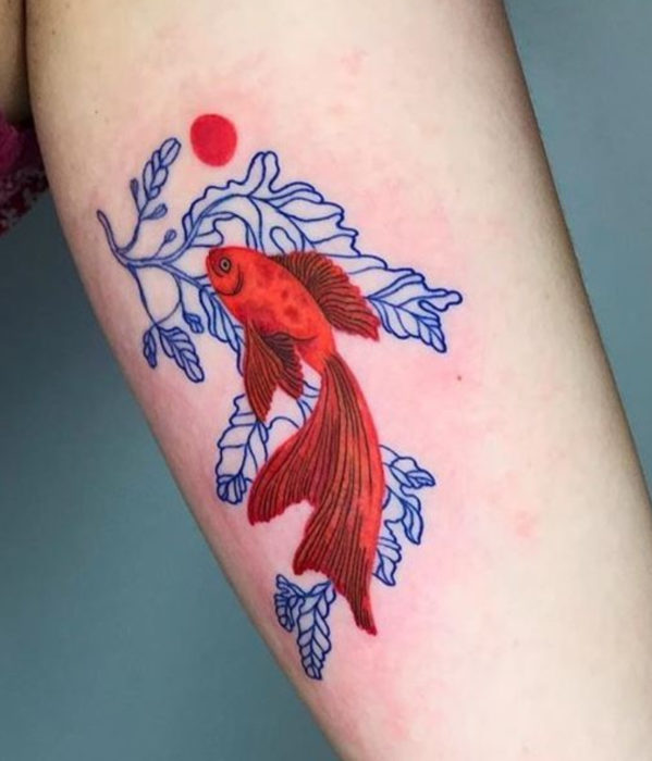 Tatuajes femeninos y con significado; pez beta rojo con plantas azules, en el brazo