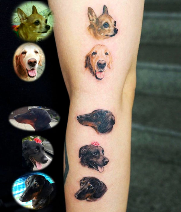 Tatuajes femeninos y con significado; retratos realistas de perros en el brazo