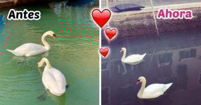 Cuarentena demuestra que el planeta necesita un respiro