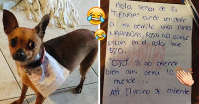 Manda a su perrita por frituras para no salir de casa y el plan es un éxito