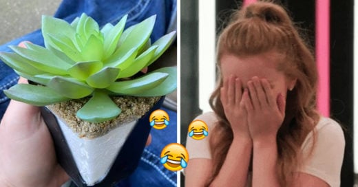 Mujer descubre que su planta es artificial después de cuidarla por dos años