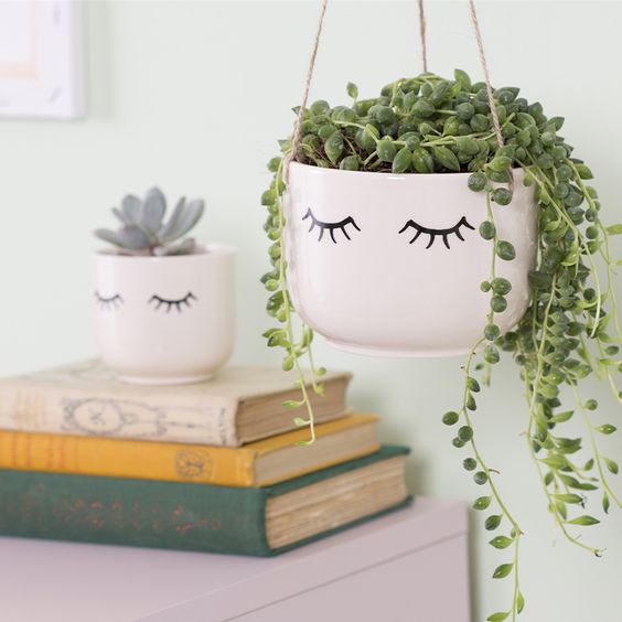 13 Tips for Your Succulents to Grow Big and Beautiful