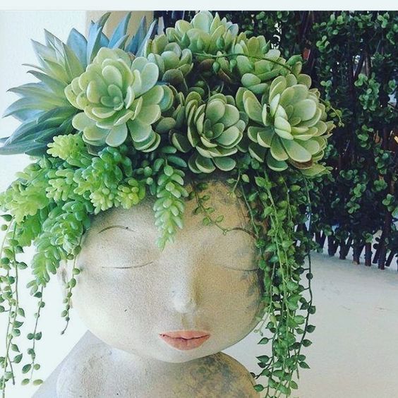 13 Tips for Your Succulents to Grow Big and Beautiful