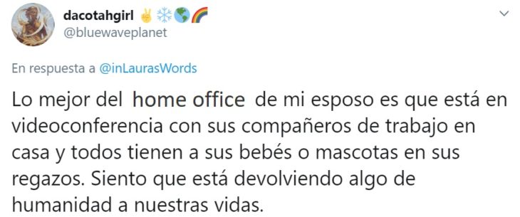 Captura de Twitter con relato de reacción ante faceta de personalidad de su familia por home office