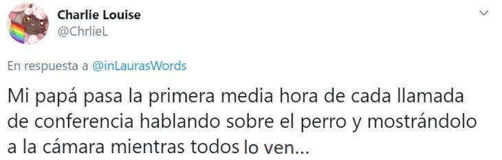 Captura de Twitter con relato de reacción ante faceta de personalidad de su familia por home office