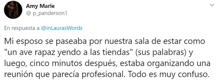 Captura de Twitter con relato de reacción ante faceta de personalidad de su familia por home office