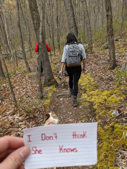 Chico pide matrimonio a su novia en la cima de una montaña