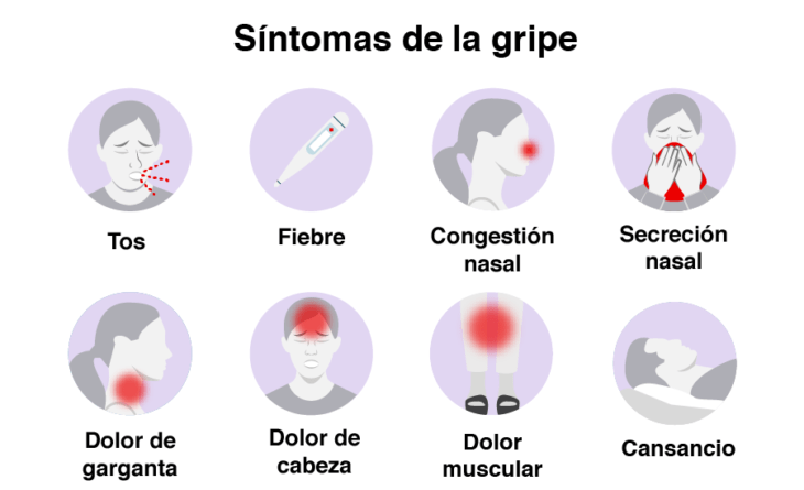 Infografía sobre los síntomas de la gripe