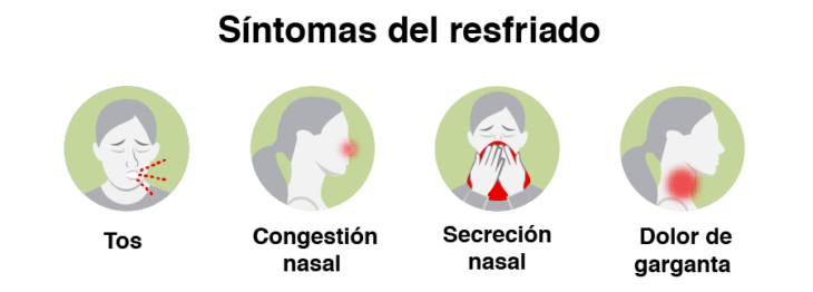 Infografía con síntomas del resfriado 