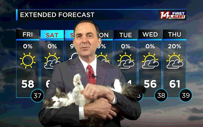 Jeff Lyons meteorologo cargando a un gato en brazos