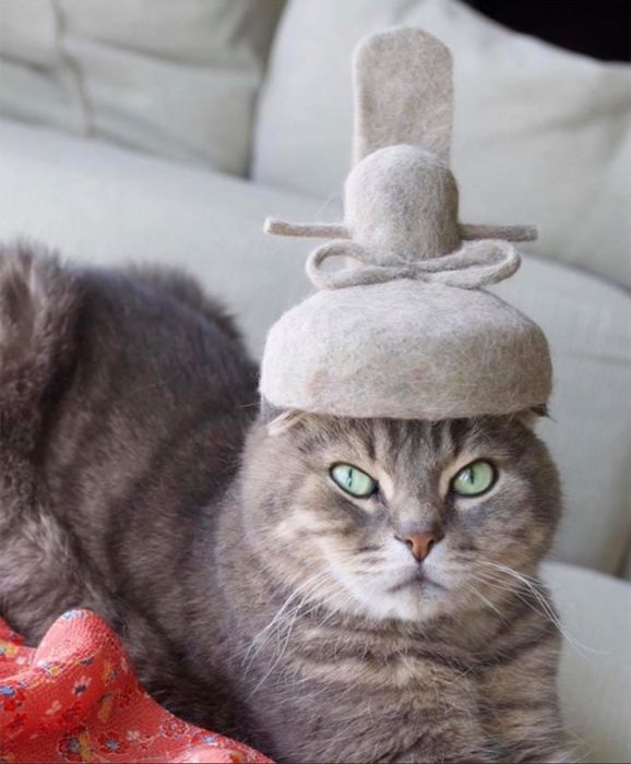 Gato con sombrero hecho de su propio pelaje