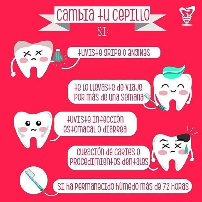 Infografía sobre el cepillo dental