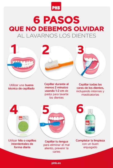Infografía sobre como se deben de lavar los dientes