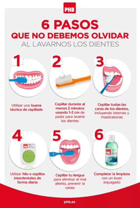 Infografía sobre como se deben de lavar los dientes