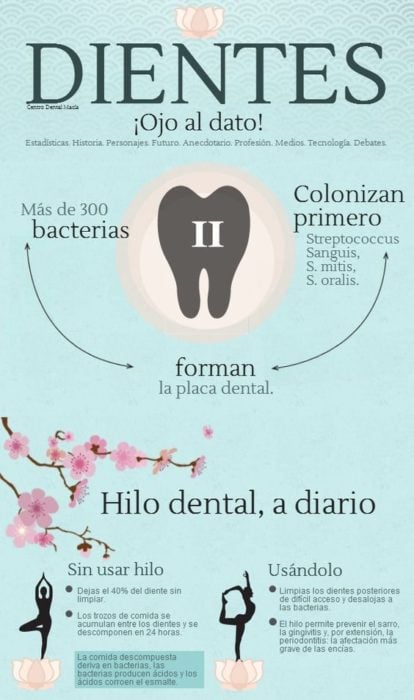 Infografía sobre el hilo dental